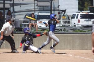 Fly-Ball (1)