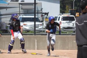 Fly-ball-2 (1)