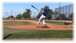 Picture14