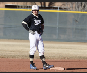 Baseball pic